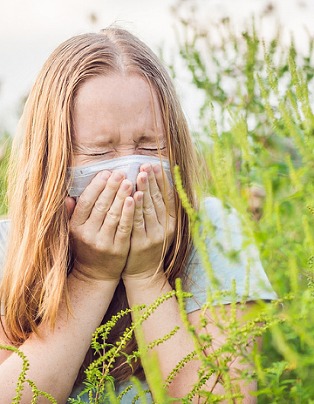 allergie und migräne als ursachen
