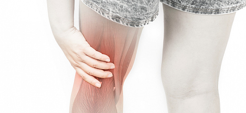 Schmerzen Kniekehle: Zerrungen, Meniskusriss, Thrombose