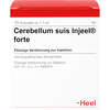CEREBELLUM SUIS Injeel forte Ampullen, 10 Stk., Biologische Heilmittel Heel GmbH