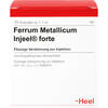 FERRUM METALLICUM INJEEL forte Ampullen, 10 St, Biologische Heilmittel Heel GmbH