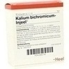 KALIUM BICHROMICUM INJEEL Ampullen, 10 Stk., Biologische Heilmittel Heel GmbH