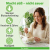 Dr. Jacob's SteviaBase Zuckerersatz Erythrit Xylit Stevia, 400 g, Dr. Jacob's Medical GmbH