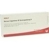 Nervus trigeminus Gl Serienpackung II, 10X1 ML, Wala Heilmittel GmbH