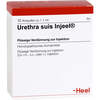 URETHRA SUIS Injeel Ampullen, 10 Stk., Biologische Heilmittel Heel GmbH