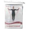 Gymnastikband RFM 2.5m blau, 1 St&uuml;ck, Rehaforum Medical GmbH