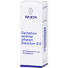 EQUISETUM ARVENSE ethanol.Decoctum D 6 Dilution, 50 ml, WELEDA AG