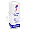 BELLADONNA PLANTA T RH D 6, 20 Milliliter, Weleda AG