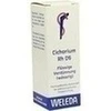 CICHORIUM PLANTA tota Rh D 6 Dilution