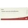 GLANDULA SUP SIN/MERCURIUS, 10x1 Milliliter, Wala Heilmittel GmbH