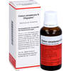 Cistus Canadensis N Oligoplex, 50 ML, Viatris Healthcare GmbH