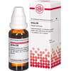 URTICA D 6, 20 ml, Dhu-Arzneimittel GmbH & Co. KG