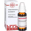 ASA FOETIDA D 4, 20 ML, Dhu-Arzneimittel GmbH & Co. KG