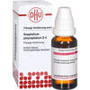 GNAPHALIUM POLYC D 4, 20 ml, Dhu-Arzneimittel GmbH & Co. KG