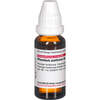 PLUMBUM ACET D 8, 20 ML, Dhu-Arzneimittel GmbH & Co. KG