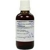 HARPAGOPHYTUM URT