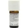 THUJA OCCIDENTALIS D 12 Dilution