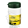 CalcioReptin vet