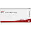 PLEXUS SACRALIS GL Serienpackung Ampullen, 10x1 ml, WALA Heilmittel GmbH