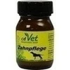 Zahnpflege vet
