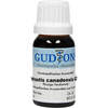 HYDRASTIS CANADENS Q29, 15 ml, Gudjons GmbH
