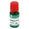 PHYTOLACCA ARCA LM 12, 10 Milliliter, ARCANA Dr. Sewerin GmbH & Co. KG