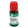 RHUS TOXICODENDRON LM 6, 10 Milliliter, ARCANA Dr. Sewerin GmbH & Co. KG