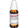 MENTHA PIPER URT, 20 ml, Dhu-Arzneimittel GmbH & Co. KG