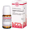 SYZYGIUM JAMBOLANUM D 2 Tabletten, 80 Stk., DHU-Arzneimittel GmbH & Co. KG