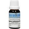 SPIGELIA ANTHELM Q10, 15 ml, Gudjons GmbH
