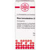 RHUS TOX LM XXIV, 5 g, Dhu-Arzneimittel GmbH & Co. KG