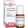 CARBO VEGETABILIS D 2 Tabletten, 200 Stk., DHU-Arzneimittel GmbH & Co. KG
