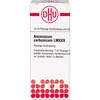 AMMON CARB LM XXX, 10 ml, Dhu-Arzneimittel GmbH & Co. KG