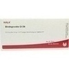 BINDEGEWEBE GL D 6, 10X1 ML, Wala Heilmittel GmbH