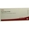 HIPPOCAMPUS GL D30