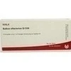 BULBUS OLFACTORIUS GL D 30 Ampullen