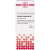 LYCOPUS VIRGINICUS D 6 Dilution, 50 ml, DHU-Arzneimittel GmbH & Co. KG