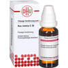 NUX VOMICA C 30 Dilution, 50 ml, DHU-Arzneimittel GmbH & Co. KG