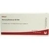 NERVUS PHRENICUS GL D30, 10x1 Milliliter, Wala Heilmittel GmbH
