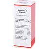 Euphorbia N Oligoplex, 50 ml, Viatris Healthcare GmbH