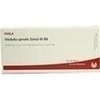 MEDULLA SPINA (TOT) GL D 6, 10x1 Milliliter, Wala Heilmittel GmbH