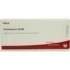 ERYTHROCYTEN GL D 6 Ampullen, 10x1 Milliliter, WALA Heilmittel GmbH