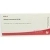 ARTERIA CORONARIA GL D 8