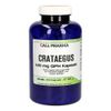 Crataegus 120 mg GPH Kapseln, 360 Stk., Hecht-Pharma GmbH