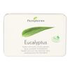 Eucalyptus Pastillen ohne Zucker
