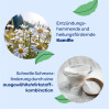 DENTINOX GEL N ZAHNUNGSHI, 10 g, Dentinox Gesellschaft für pharmazeutische Präparate