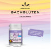 KONZENTRATION Kaugummi nach Dr. Bach, 40 st, Hager Pharma GmbH
