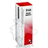Rhodo-Gastreu R46, 22 Milliliter, Dr.Reckeweg & Co. GmbH