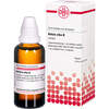 BETULA ALBA URT, 50 ml, Dhu-Arzneimittel GmbH & Co. KG