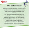 Borretschöl Kapseln Dr.Wolz, 60 Stk., Dr. Wolz Zell GmbH