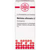 MELILOTUS OFFIC LM XXX, 5 g, Dhu-Arzneimittel GmbH & Co. KG